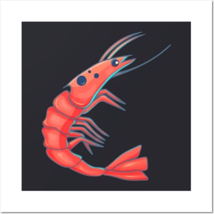 Shrimp Posters and Art